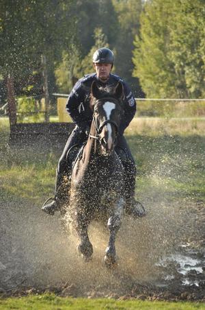Egzamin policyjnych wierzchowców