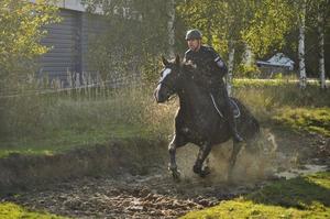 Egzamin policyjnych wierzchowców