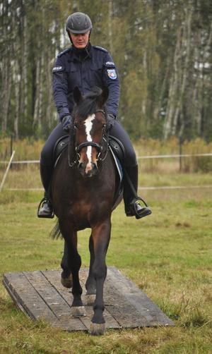 Egzamin policyjnych wierzchowców