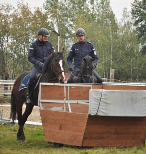 Egzamin policyjnych wierzchowców