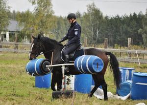 Egzamin policyjnych wierzchowców