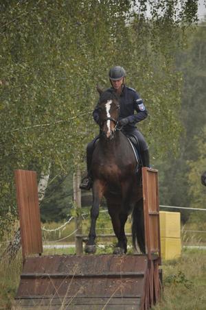 Egzamin policyjnych wierzchowców