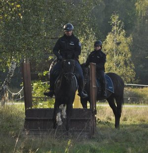 Egzamin policyjnych wierzchowców
