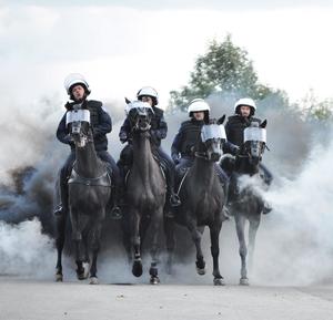Egzamin policyjnych wierzchowców