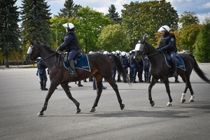Policyjni jeźdźcy na koniach podczas przygotowań do atestacji na placu Oddziału Prewencji Policji w Rzeszowie
