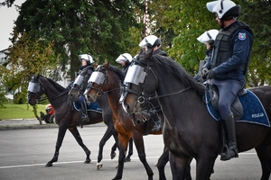Policyjni jeźdźcy na koniach podczas przygotowań do atestacji na placu Oddziału Prewencji Policji w Rzeszowie