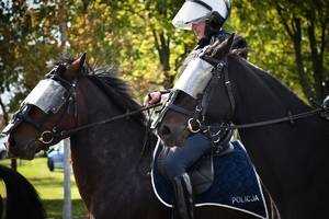 Policyjni jeźdźcy na koniach podczas przygotowań do atestacji na placu Oddziału Prewencji Policji w Rzeszowie