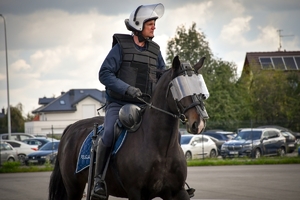 Policyjni jeźdźcy na koniach podczas przygotowań do atestacji na placu Oddziału Prewencji Policji w Rzeszowie