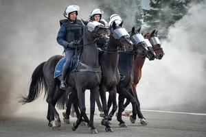 Policyjni jeźdźcy na koniach podczas przygotowań do atestacji na placu Oddziału Prewencji Policji w Rzeszowie