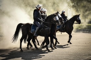 Policyjni jeźdźcy na koniach podczas przygotowań do atestacji na placu Oddziału Prewencji Policji w Rzeszowie
