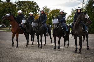 Policyjni jeźdźcy na koniach podczas przygotowań do atestacji na placu Oddziału Prewencji Policji w Rzeszowie