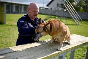 Policyjne psy podczas atestacji