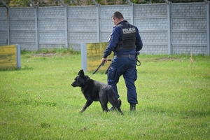 Policyjne psy podczas atestacji