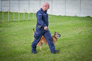 Policyjne psy podczas atestacji