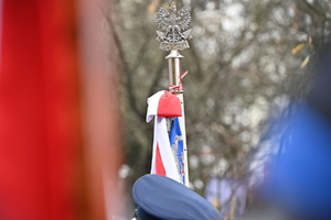Policjanci i inni uczestnicy podczas obchodów Narodowego Święta Niepodległości