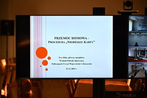 Seminarium szkoleniowe w obszarze przeciwdziałania przemocy