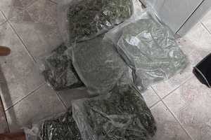 Zabezpieczony przez policjantów susz