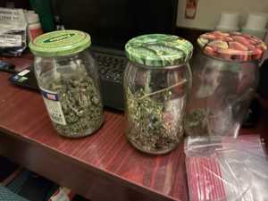 Zabezpieczony przez policjantów susz