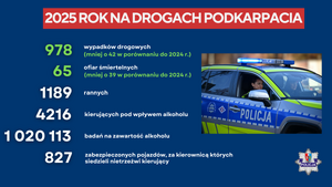 Grafika  - Podsumowanie stanu bezpieczeństwa w ruchu drogowym na Podkarpaciu w 2025 roku