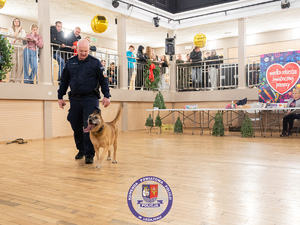 Policjanci podczas finału WOŚP w Leżajsku