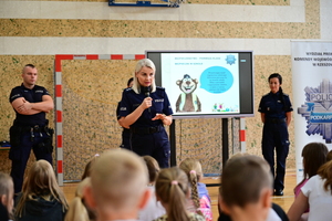 Zdjęcia z prowadzonych działań profilaktycznych