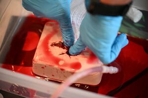 Uczestnicy podczas szkolenia