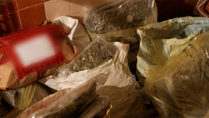 Funkcjonariusze zabezpieczyli ponad 60 kg narkotyków