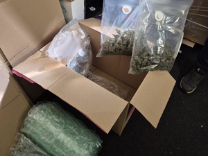 Substancje zabezpieczone przez policjantów i funkcjonariuszy KAS