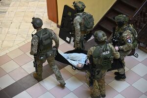 Policjanci podczas szkolenia