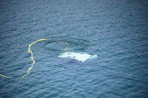 Uczestnicy podczas szkolenia