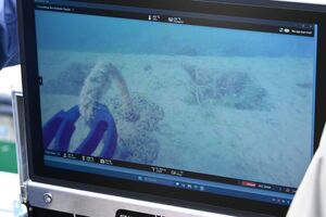 Uczestnicy podczas szkolenia