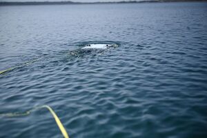 Uczestnicy podczas szkolenia
