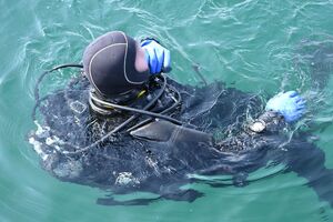 Uczestnicy podczas szkolenia