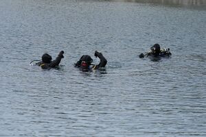 Uczestnicy podczas szkolenia