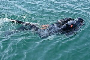 Uczestnicy podczas szkolenia