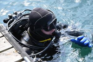 Uczestnicy podczas szkolenia