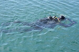 Uczestnicy podczas szkolenia