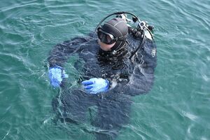 Uczestnicy podczas szkolenia