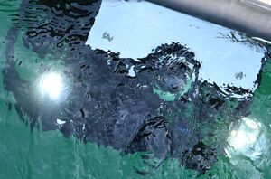 Uczestnicy podczas szkolenia