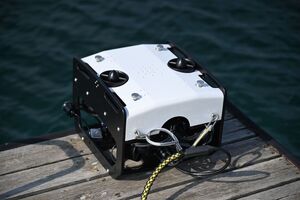 Uczestnicy podczas szkolenia