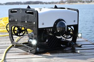 Uczestnicy podczas szkolenia