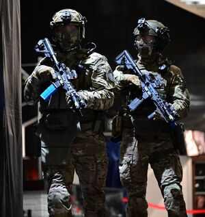 Funkcjonariusze podczas doskonalenia umiejętności