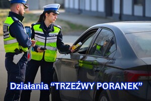 Policjantka i policjant podczas kontroli drogowej