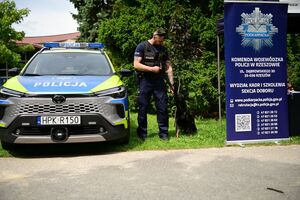 Policjanci podczas pikniku dla najmłodszych