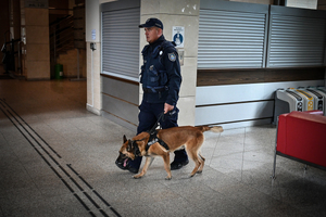 Policjanci i uczestnicy ćwiczeń w budynku Urzędu Marszałkowskiego Województwa Podkarpackiego w Rzeszowie.