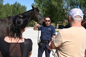 Policjanci oraz goście podczas wizyty w ogniwie konnym