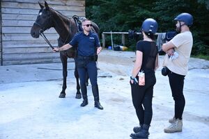 Policjanci oraz goście podczas wizyty w ogniwie konnym