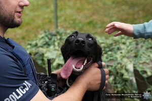 Czworonożni funkcjonariusze podkarpackiej Policji