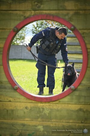 Czworonożni funkcjonariusze podkarpackiej Policji