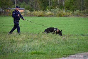 Czworonożni funkcjonariusze podkarpackiej Policji